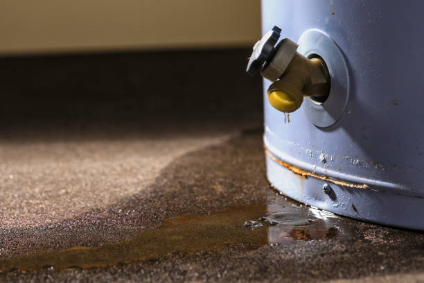 Best Commercial water damage restoration  in Terrace Park, OH