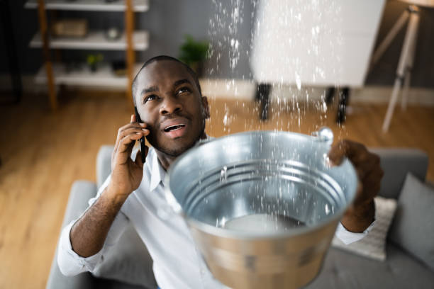 Best Mold removal after water damage  in Terrace Park, OH