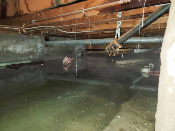 Best Flooded house restoration  in Terrace Park, OH