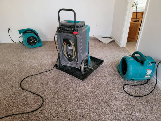 Best 24/7 water damage repair  in Terrace Park, OH