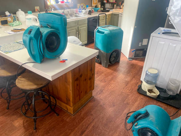  Terrace Park, OH Water damage restoration Pros