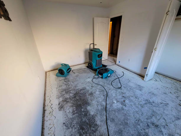 Best Water damage restoration near me  in Terrace Park, OH