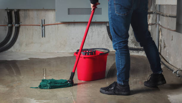 Best Mold removal after water damage  in Terrace Park, OH
