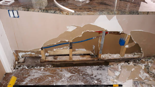 Best Water damage restoration near me  in Terrace Park, OH