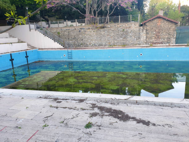 Best Flood restoration services  in Terrace Park, OH
