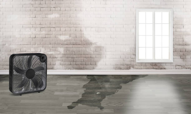 Reliable Terrace Park, OH Water damage restoration Solutions