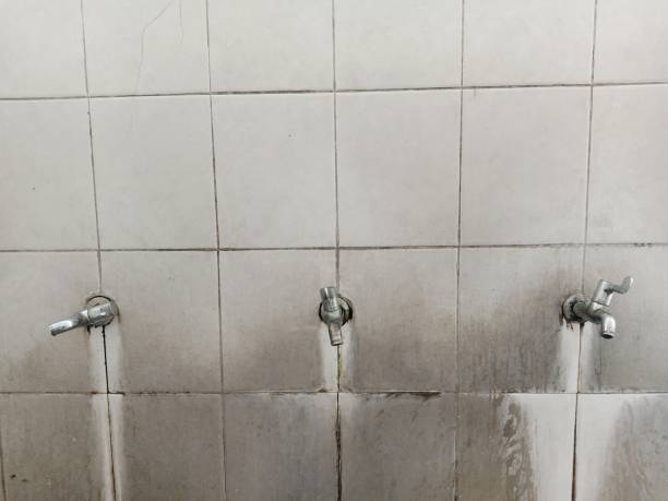 Best Professional water damage repair  in Terrace Park, OH