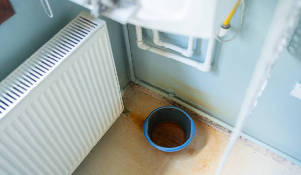 Best Sewage cleanup and water damage restoration  in Terrace Park, OH