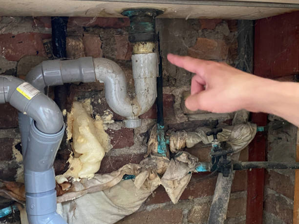 Best Residential water damage restoration  in Terrace Park, OH