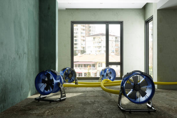 Best Local water damage restoration  in Terrace Park, OH