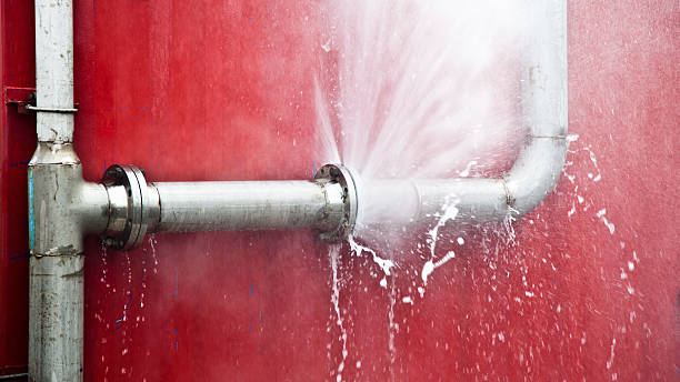 Best Water damage restoration process  in Terrace Park, OH